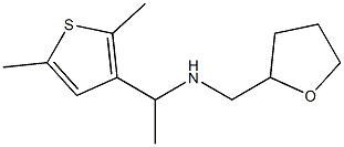 [1-(2,5-dimethylthiophen-3-yl)ethyl](oxolan-2-ylmethyl)amine Structure