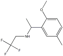  [1-(2-methoxy-5-methylphenyl)ethyl](2,2,2-trifluoroethyl)amine