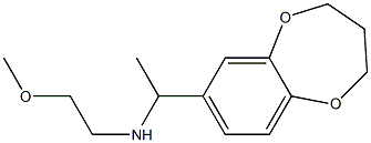  [1-(3,4-dihydro-2H-1,5-benzodioxepin-7-yl)ethyl](2-methoxyethyl)amine