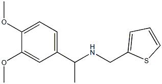 [1-(3,4-dimethoxyphenyl)ethyl](thiophen-2-ylmethyl)amine