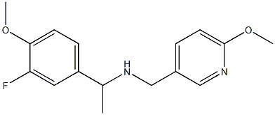  [1-(3-fluoro-4-methoxyphenyl)ethyl][(6-methoxypyridin-3-yl)methyl]amine