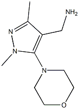 [1,3-dimethyl-5-(morpholin-4-yl)-1H-pyrazol-4-yl]methanamine,,结构式