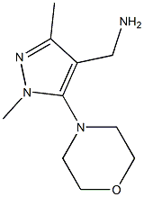  [1,3-dimethyl-5-(morpholin-4-yl)-1H-pyrazol-4-yl]methanamine