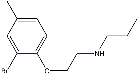 [2-(2-bromo-4-methylphenoxy)ethyl](propyl)amine