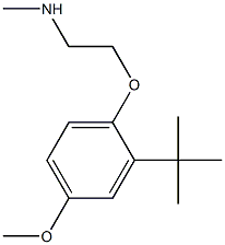 [2-(2-tert-butyl-4-methoxyphenoxy)ethyl](methyl)amine,,结构式