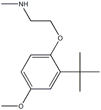 [2-(2-tert-butyl-4-methoxyphenoxy)ethyl](methyl)amine Structure