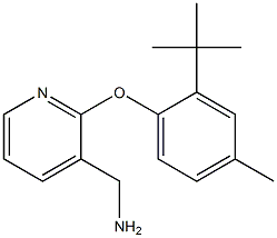 [2-(2-tert-butyl-4-methylphenoxy)pyridin-3-yl]methanamine Struktur