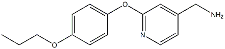 [2-(4-propoxyphenoxy)pyridin-4-yl]methanamine 结构式