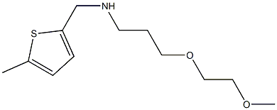 [3-(2-methoxyethoxy)propyl][(5-methylthiophen-2-yl)methyl]amine,,结构式