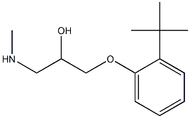  [3-(2-tert-butylphenoxy)-2-hydroxypropyl](methyl)amine