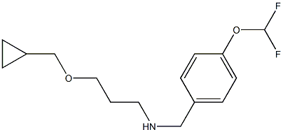  [3-(cyclopropylmethoxy)propyl]({[4-(difluoromethoxy)phenyl]methyl})amine