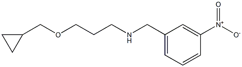 [3-(cyclopropylmethoxy)propyl][(3-nitrophenyl)methyl]amine,,结构式