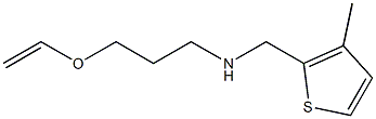 [3-(ethenyloxy)propyl][(3-methylthiophen-2-yl)methyl]amine,,结构式