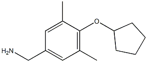 [4-(cyclopentyloxy)-3,5-dimethylphenyl]methanamine