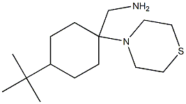  [4-tert-butyl-1-(thiomorpholin-4-yl)cyclohexyl]methanamine