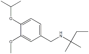 {[3-methoxy-4-(propan-2-yloxy)phenyl]methyl}(2-methylbutan-2-yl)amine,,结构式