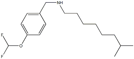 {[4-(difluoromethoxy)phenyl]methyl}(7-methyloctyl)amine,,结构式