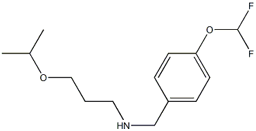 {[4-(difluoromethoxy)phenyl]methyl}[3-(propan-2-yloxy)propyl]amine