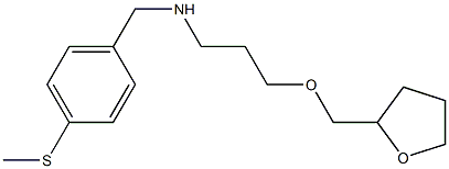 {[4-(methylsulfanyl)phenyl]methyl}[3-(oxolan-2-ylmethoxy)propyl]amine Structure