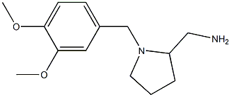 {1-[(3,4-dimethoxyphenyl)methyl]pyrrolidin-2-yl}methanamine|