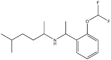  {1-[2-(difluoromethoxy)phenyl]ethyl}(5-methylhexan-2-yl)amine