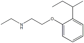  {2-[2-(butan-2-yl)phenoxy]ethyl}(ethyl)amine