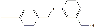 {3-[(4-tert-butylphenyl)methoxy]phenyl}methanamine Structure