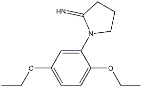  1-(2,5-diethoxyphenyl)pyrrolidin-2-imine