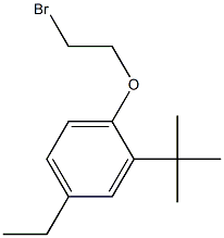 1-(2-bromoethoxy)-2-tert-butyl-4-ethylbenzene