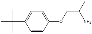 1-(4-tert-butylphenoxy)propan-2-amine