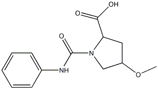 1-(anilinocarbonyl)-4-methoxypyrrolidine-2-carboxylic acid,,结构式