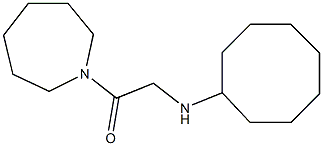 1-(azepan-1-yl)-2-(cyclooctylamino)ethan-1-one 结构式