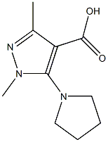 1,3-dimethyl-5-(pyrrolidin-1-yl)-1H-pyrazole-4-carboxylic acid