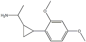 1-[2-(2,4-dimethoxyphenyl)cyclopropyl]ethan-1-amine