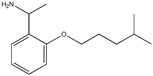 1-{2-[(4-methylpentyl)oxy]phenyl}ethan-1-amine