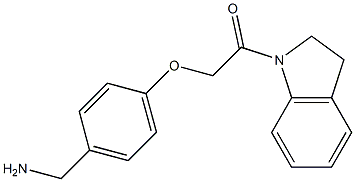 1-{4-[2-(2,3-dihydro-1H-indol-1-yl)-2-oxoethoxy]phenyl}methanamine|
