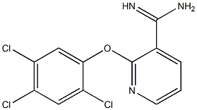 2-(2,4,5-trichlorophenoxy)pyridine-3-carboximidamide 结构式