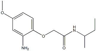 2-(2-amino-4-methoxyphenoxy)-N-(sec-butyl)acetamide