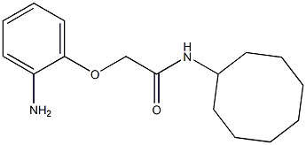  2-(2-aminophenoxy)-N-cyclooctylacetamide