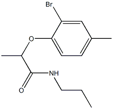 2-(2-bromo-4-methylphenoxy)-N-propylpropanamide|