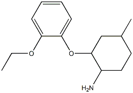 2-(2-ethoxyphenoxy)-4-methylcyclohexanamine