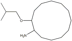 2-(2-methylpropoxy)cyclododecan-1-amine 化学構造式