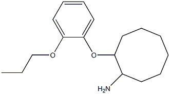 2-(2-propoxyphenoxy)cyclooctan-1-amine 结构式
