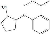 2-(2-sec-butylphenoxy)cyclopentanamine Struktur