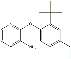 2-(2-tert-butyl-4-ethylphenoxy)pyridin-3-amine Structure