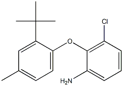 2-(2-tert-butyl-4-methylphenoxy)-3-chloroaniline Structure