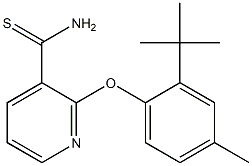 2-(2-tert-butyl-4-methylphenoxy)pyridine-3-carbothioamide Struktur