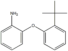 2-(2-tert-butylphenoxy)aniline 化学構造式