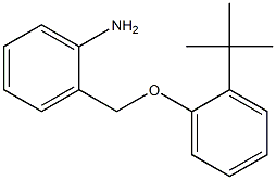 2-(2-tert-butylphenoxymethyl)aniline 化学構造式