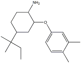 2-(3,4-dimethylphenoxy)-4-(2-methylbutan-2-yl)cyclohexan-1-amine Structure